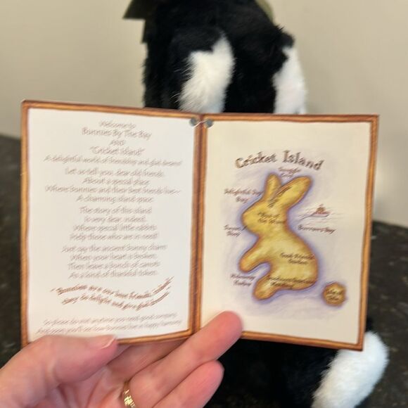 Halloween  SPUNKIN Black & White Cat Plush Bunnies By the Bay 2020 NEW Stuffed - Picture 6 of 9